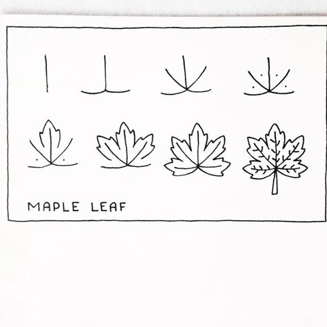 How To Draw An Autumn Leaf, Fall Leaves Simple Drawing, Autumn Leaf Doodle, Simple Foliage Drawing, How To Draw A Fall Leaf, Autumn Leaves Drawing Simple, Fall Drawings Aesthetic Easy, How To Draw Leaves, Autumn Drawing Ideas