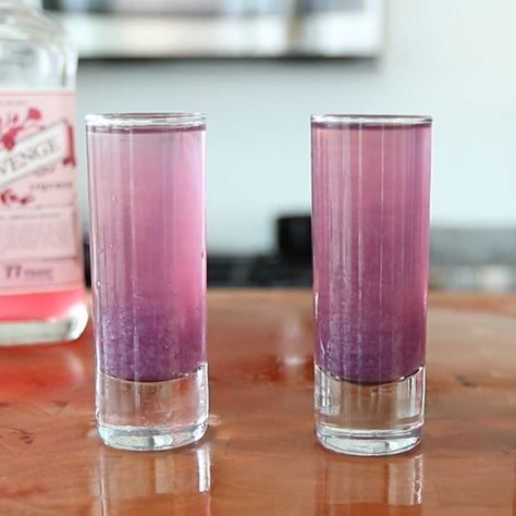 Shooters Alcohol Recipes, Barbie Shot, Tipsy Bartender Recipes, Fruity Shots, Rum Shots, Shots Alcohol Recipes, Bartender Recipes, Shooter Recipes, Purple Cocktails