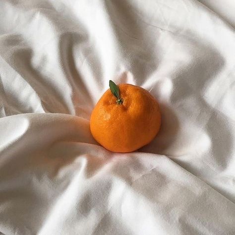 The Garden Of Words, Orange Aesthetic, Korean Aesthetic, Aesthetic Colors, White Aesthetic, Green Aesthetic, Aesthetic Photo, Aesthetic Food, Instagram Feed