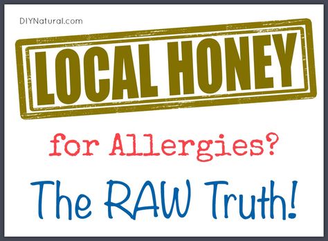 Does Local Raw Honey Really Help With Allergies? Honey For Allergies, Help With Allergies, Natural Asthma Remedies, Asthma Remedies, Asthma Relief, Natural Remedies For Allergies, Sunburn Relief, Allergy Remedies, Chest Congestion