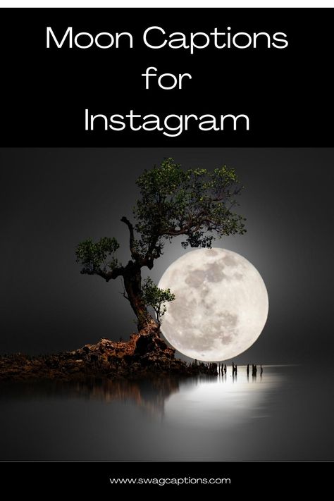 Shine like the moon with our captivating captions! Discover the perfect words to accompany your celestial snapshots on Instagram. #MoonCaptions #InstagramCaptions #CelestialWords #MoonMagic #NighttimeVibes #LunarBeauty #StarryEyes #DreamyCaptions #MoonlitMoments #GlowingSkies #CelestialSnapshots Moon Shine Quotes, Moon One Word Caption, Full Moon Quotes Magic, Full Moon Captions For Instagram, Beautiful Moon Quotes, Moon Quotes Aesthetic, Moon Aesthetic Quotes, Moon Captions, Light Captions