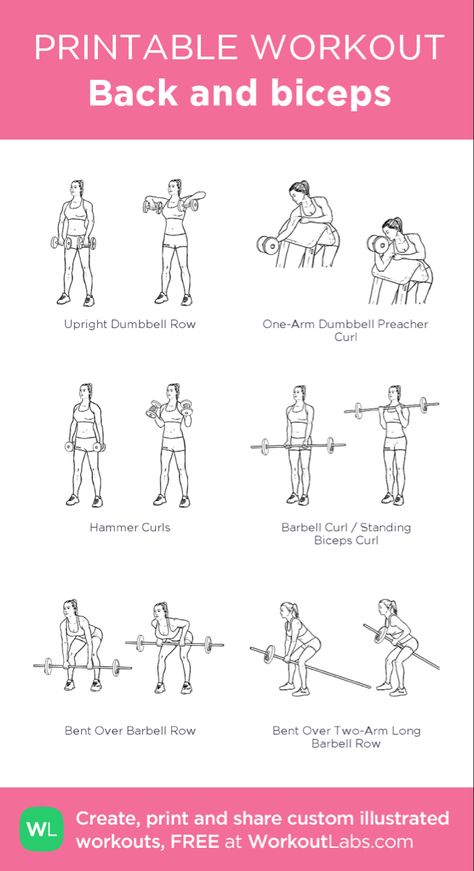 Gym Guide For Beginners, Barbell Workout For Women, Bicep Workout Women, Dumbbell Workout Plan, Workout Female, Back And Bicep Workout, Dumbbell Workout At Home, Workout Labs, Arm Workouts At Home