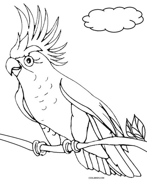 Printable Parrot Coloring Pages For Kids Jungle Coloring Pages, Flamingo Coloring Page, Bird Coloring, Bird Coloring Pages, Colorful Parrots, Tropical Birds, Bird Drawings, Cute Coloring Pages, Colorful Birds