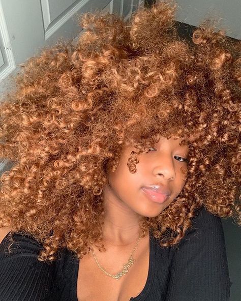 Dyed Curly Hair, Honey Brown Hair, Ginger Hair Color, Colored Curly Hair, Pelo Afro, Dyed Natural Hair, Honey Blonde Hair, Natural Hair Styles Easy, Dye My Hair