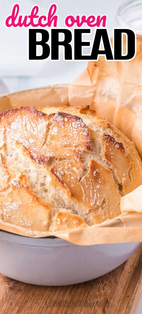 If you are a lover of homemade bread you are going to fall head over heels for this fluffy Dutch Oven Bread! It's great for sandwiches too! #RealHousemoms #dutchoven #homemadebread #breadrecipe #sidedish #easyrecipe Stove Top Bread Recipe, Homemade Bread Loaf, Dutch Oven Uses, Ceramic Dutch Oven, Yeast Dough Recipe, Fast Bread, Crusty Bread Recipe, Best Dutch Oven, Oven Bread