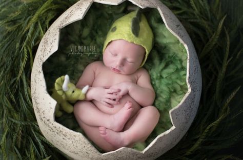 Felted Dinosaur, Dinosaur Photography, Stuffed Dinosaur, Baby Milestones Pictures, Milestone Pictures, Newborn Photography Poses, Dinosaur Pictures, Photography Themes, Newborn Shoot