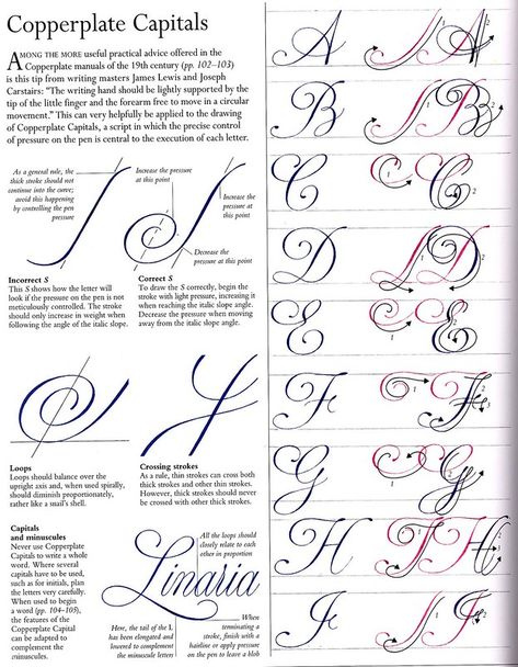 Calligraphy Alphabet Tutorial, Calligraphic Fonts, Calligraphy Writing Styles, Fonts Modern, Calligraphy Fonts Alphabet, Hand Lettering Worksheet, Calligraphy Lessons, Calligraphy Tutorial, Copperplate Calligraphy