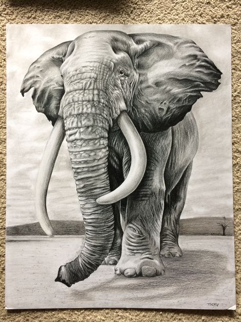 Easy Pencil Drawings, Elephant Sketch, Regnul Animal, Architecture Sketches, Elephant Tattoo Design, Pencil Drawings Of Animals, Elephants Photos, Animal Drawings Sketches, Drawing Eyes