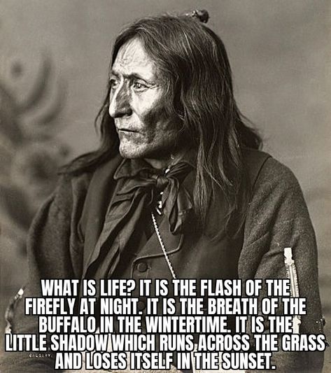 Famous quote by Chief Crowfoot What Is Life, Wise Quotes, Famous Quotes, Wisdom Quotes, Art Quotes, Favorite Quotes, Life Quotes, Quotes, Quick Saves