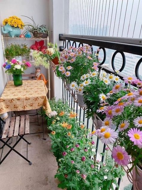 Balcony Garden Flowers, Balcony Flowers Ideas, Plants In Balcony, Balcony With Flowers, Klein Balkon Decor, Balcony Patio Ideas, Flowers Balcony, Balcony Planters, Small Balcony Garden