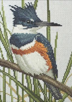 Cross Stitch Birds, Birds Of A Feather Cross Stitch Patterns, Parrot Cross Stitch Pattern, Kingfisher Cross Stitch, Blue Bird Cross Stitch Pattern, Tropical Fish Cross Stitch, Kingfisher Cross Stitch Pattern, Belted Kingfisher, Model Sailboat