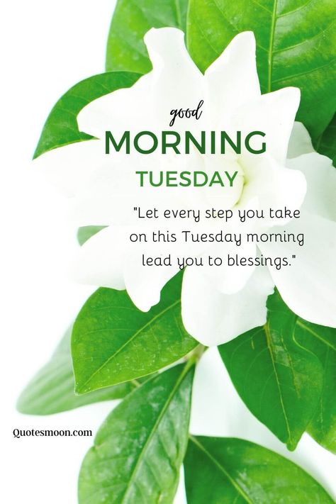 Good Morning Tuesday Blessings And Prayers Good Morning Blessings Tuesday, Morning Blessings Tuesday, Blessed Tuesday Quotes Inspiration, Tuesday Morning Prayers, Happy Blessed Tuesday, Tuesday Morning Blessings, Tuesday Blessings Mornings, Good Morning Tuesday Quotes, Good Morning Tuesday Blessings