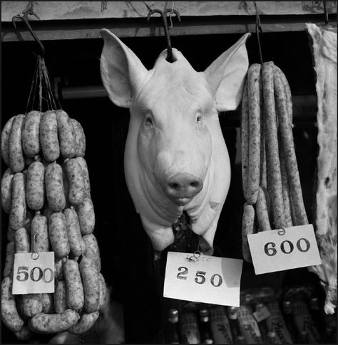 Werner Bischof  ITALY. Butcher shop. 1946. Creepy History, Dolls House Shop, Meat Shop, Restaurant Photography, Trade Sign, Butcher Shop, Baboon, Magnum Photos, Design Research