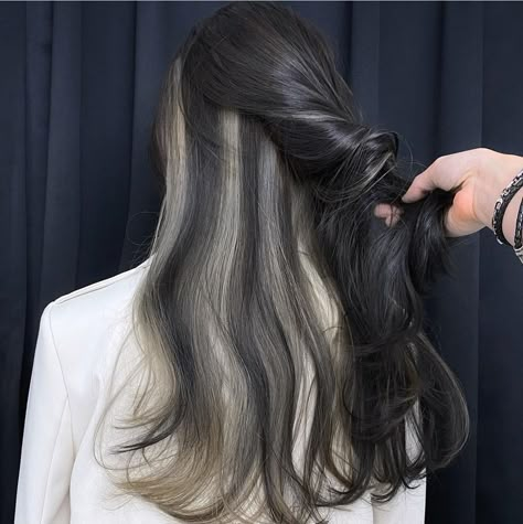 Oreo Hair Color, Underdye Hair, Oreo Hair, Korean Long Hair, Hidden Hair Color, Hair Facts, Hair Color Underneath, Dark Hair With Highlights, Dyed Hair Inspiration