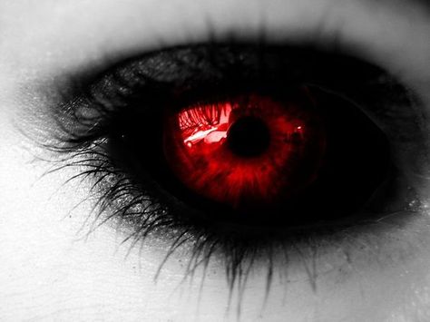 Eye number 2. Black sclera and red iris | My ideas for a Dark Lord ... Vampire Eyes, Regard Animal, Demon Eyes, Windows To The Soul, Aesthetic Eyes, Anime Eyes, Pretty Eyes, Eye Art, Red Eyes