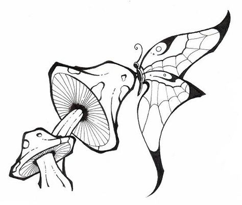 Shrooms & butterfly Mushrooms Drawings, Drawings Of Mushrooms, Shroom Drawings, Tattoo Art Drawings Sketches, Mushrooms And Butterflies, Mushroom Drawings, Animal Stencil Art, Mushroom Tattoo, Butterfly Art Drawing