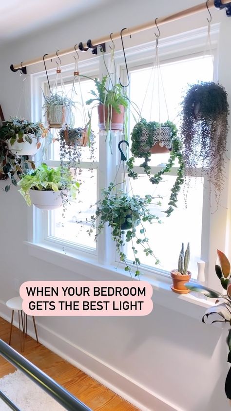 Hanging Plants Indoor In Front Of Window, Plant Wall In Front Of Window, Bathroom Window Plant Shelf, Large Window Plant Shelf, Hang Plants In Front Of Window, Plants Above Window, Hang Plants In Window, Shelving In Front Of Windows, Hanging Plants Indoor Window