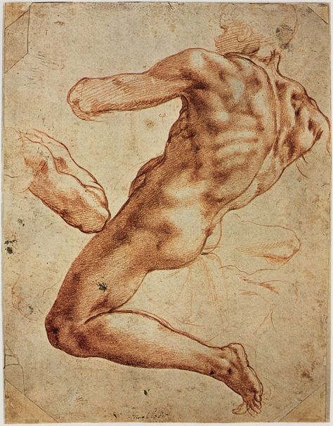 The Classical Pulse: Michelangelo: Figure Drawings, Part 1 Sistine Chapel Ceiling, Male Figure Drawing, Master Drawing, 얼굴 그리기, Human Figure Drawing, Sistine Chapel, Cleveland Museum Of Art, Anatomy Drawing, Figure Drawing Reference