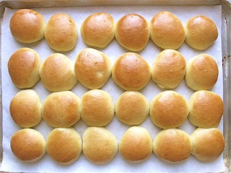 Homemade Slider Buns, Homemade Sliders, Mini Burger Buns, Slider Rolls, Mini Bun, Mini Sliders, Vegetarian Barbecue, Baked Breads, Baking Buns