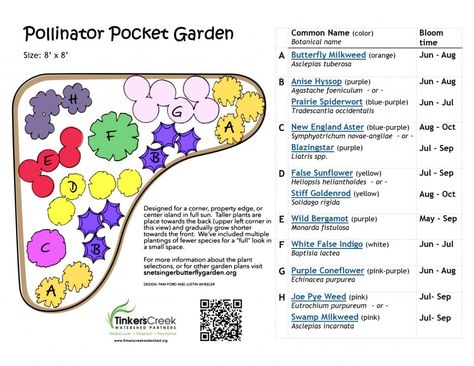 Plan a Pollinator Pocket Garden - Tinkers Creek Watershed Partners Pollinator Garden Plans, Resurrection Garden, Pollinator Garden Design, Pocket Garden, Pollinator Plants, Native Plant Gardening, Hummingbird Garden, Thriving Garden, Magic Garden