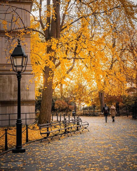 https://www.instagram.com/p/CXSPq25rIo1/?utm_medium=share_sheet Autumn Scenes, Autumn Scenery, Best Seasons, City Landscape, Watercolor Inspiration, Good Afternoon, Autumn Photography, Favorite City, Autumn Trees