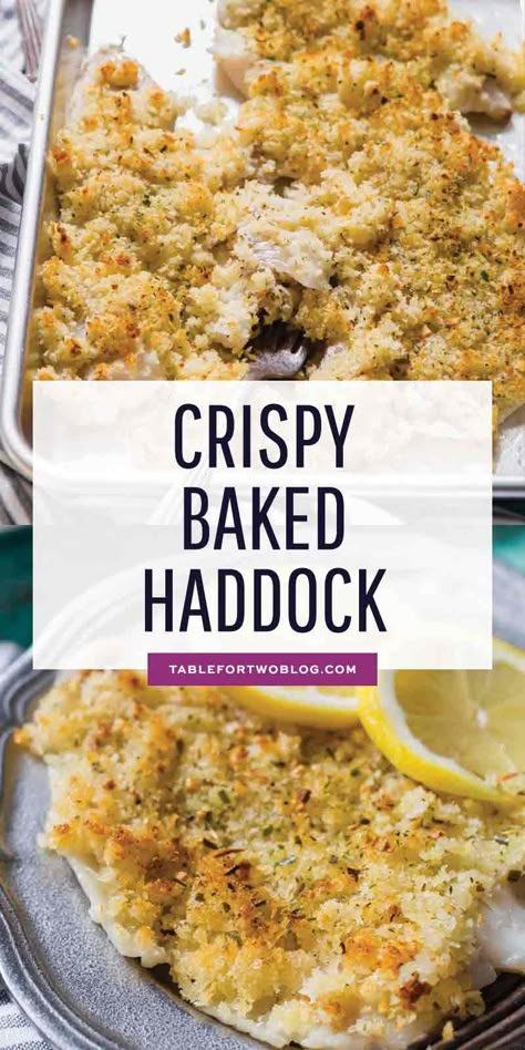 Baked Haddock Recipes Parmesan Crusted, Bake Haddock In Oven, Breaded Haddock Recipes Baked, Baked Haddock Recipes Ovens, Oven Baked Haddock, Haddock Fillet Recipe, Fish Casseroles, Baked Haddock Recipes, Baked Haddock