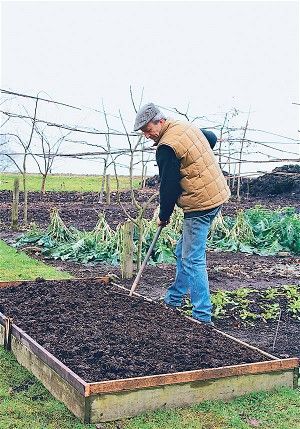 No-dig gardening: a better way to grow vegetables? - Telegraph Bunny Guinness, Charles Dowding, Allotment Ideas, Spend Less Money, Veg Patch, Dig Gardens, Gardening Vegetables, Vegetable Bed, Vegetable Garden For Beginners