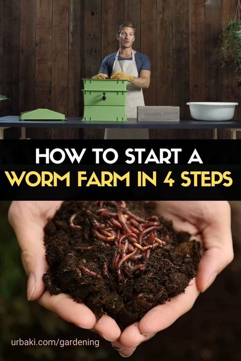 Learn how to start a worm farm in 4 steps with our interactive video - selection, set up, feeding, and troubleshooting. You’ll learn how to choose a worm farm kit or worm bin, how to build a worm farm, what to use as worm bedding, what to feed worms, and troubleshoot some common issues. Worm Farms (also known as worm composts or vermicomposting) can help cut down the amount of food you send to landfills and can create some great soil conditioners for your garden. #wormfarm #vermiculture #soils Soil Remediation, Vermicomposting Worm Farm, Cricket Farm, Worm Farm Diy, Worm Farms, Worm Beds, Germinate Seeds, Worm Farming, Fishing Worms