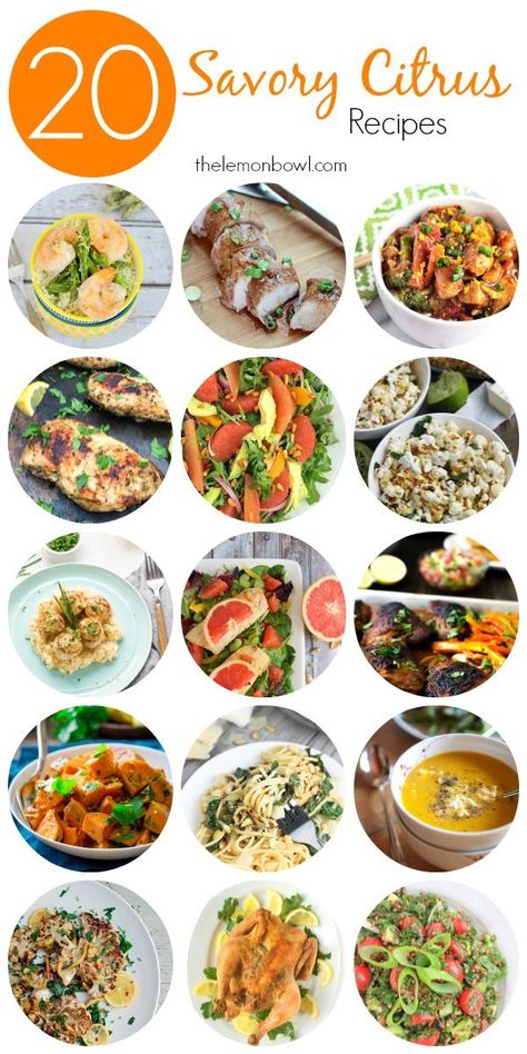 20 Savory Citrus Recipes - The Lemon Bowl Affordable Recipes, Healthy Dinner Recipes For Two, Healthy Delicious Recipes, Citrus Recipes, Lemon Bowl, Anti Oxidant Foods, Sample Menu, Savory Recipes, Healthy Delicious