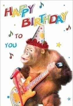 Happy Birthday Big Boy, Silly Happy Birthday, Happy Birthday Funny Humorous, Happy Birthday Animals, Monkey Birthday, Happy Birthday Text, Happy Birthday Photos, Happy Birthday Meme, Happy Birthday Video