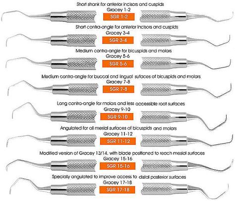 gracey curettes - Google Search Dental Terminology Dentistry, Dental Tools Names, Dental Caries Classification, Dental Terminology, Dental Hygiene Instruments, Dental Assistant School, Dental Hygienist School, Registered Dental Hygienist, Dental Assistant Study