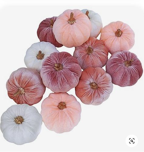 Package includes 12 pcs small velvet pumpkins in blush pink, coral pink, peach, and ivory, and each color has 3 pcs. This set creates an instant arrangement to add wonderful texture and a pop of color to your autumn, Thanksgiving, and Halloween decor. These velvet pumpkins add a subtle elegance and sophistication, allowing you to reach for them to decorate your home again and again. Use them to create a warm atmosphere and bring some soft fall flair to your space. Fall Tray Decor, Halloween Table Centerpieces, Halloween Party Dinner, Rosa Coral, Artificial Pumpkins, Halloween Centerpiece, Foam Pumpkins, Pumpkin Fall Decor, Velvet Pumpkins