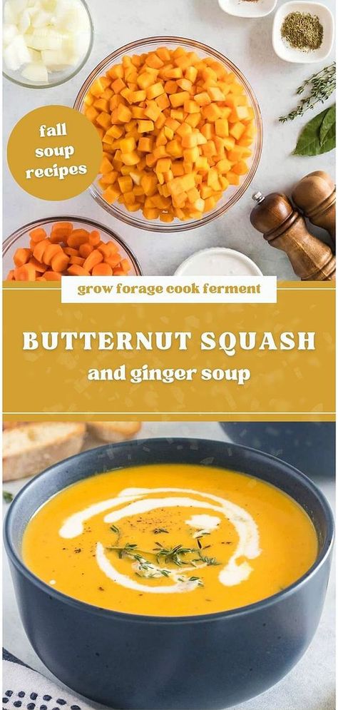 Embrace the flavors of fall with our butternut squash and ginger soup. Blended with carrots, coconut milk, and spices, it's a standout in fall soup recipes. Perfect as a winter squash soup recipe, this vegan dish is both comforting and nourishing. Dive into this butternut squash bisque today. Find more fall soup recipes, comfort soup recipes, and easy fall recipes at growforagecookferment.com. Soup Recipes Comfort, Soup Blended, Butternut Squash Recipes Healthy, Easy Fall Recipes, Squash Bisque, Winter Squash Soup, Soup Fall, Lean Recipes, Easy Winter Recipes