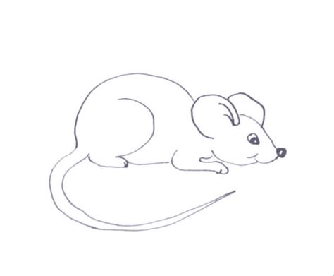 Mouse Drawing & Sketches For Kids Check more at https://www.kidsartncraft.com/mouse-drawing-sketches-for-kids/ Mouse Drawing Easy, Sketches For Kids, Pencil Drawings Of Girls, Mouse Drawing, Children Sketch, Want To Draw, Easy Drawings For Kids, Horse Drawing, Draw Your