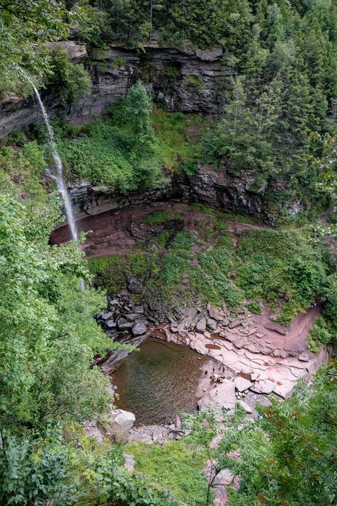 Spring Things, Mountains Hiking, The Catskills, Catskill Mountains, Forest Trail, Wild Forest, Rock Pools, Mountain Hiking, Best Hikes