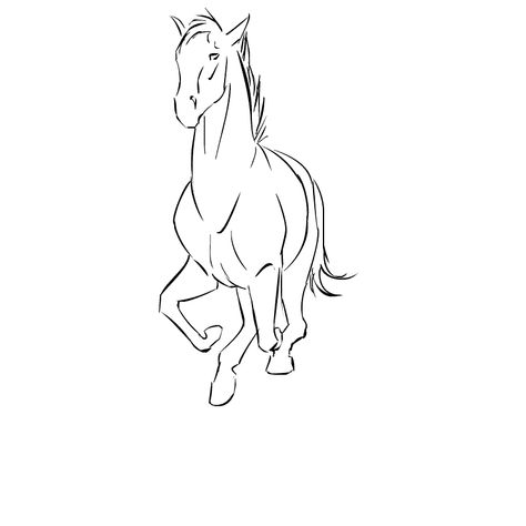 Horse Animation Gif, Horse Running Animation, Horse Animation, Horse Galloping, Animation Art Sketches, Animation Sketches, Animation Tutorial, Horse Drawing, Horse Drawings