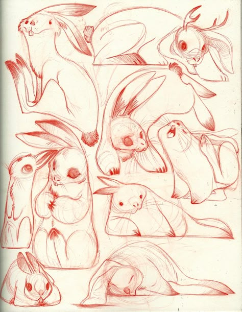 rabbits - pencil sketch Sketch Character, Somebunny Loves You, Sketch Pencil, Animal Wildlife, Bunny Art, Fantasy Illustration, Character Design References, Drawing Sketch, Creature Design