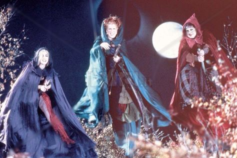 Hocus Pocus Flying: Behind The Scenes Hocus Pocus Flying, Hocus Pocus Halloween Costumes, Hermanas Sanderson, Max Dennison, Haunted Movie, Hocus Pocus Movie, Sarah Sanderson, Hocus Pocus 2, Hocus Pocus Witches