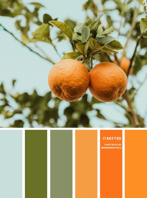 colour palettes Archives 3 - I Take You | Wedding Readings | Wedding Ideas | Wedding Dresses | Wedding Theme Colour Palette Inspiration Bedroom, Colour Palette With Orange, Orange Green Colour Palette, Powder Blue Colour Palette, Colours That Go With Orange, Light Teal Color Palette, Orange Green Blue Color Palette, Color Palette Orange Green, Blue Orange Green Color Palette