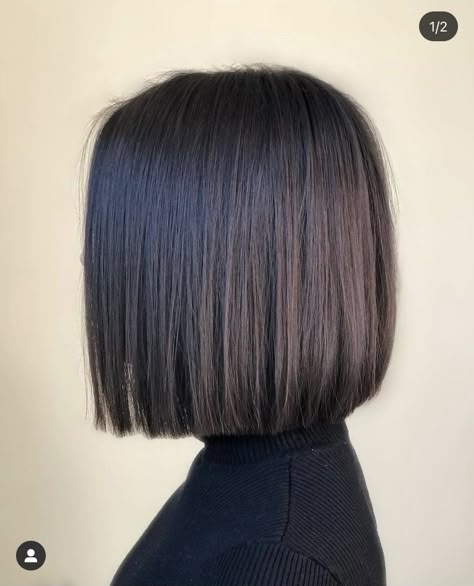 One Length Hair, Hair Dye Tips, Short Dark Hair, Chin Length Hair, Bob Haircut For Fine Hair, Shot Hair Styles, Haircuts For Medium Hair, Haircuts Straight Hair, Hair Color And Cut