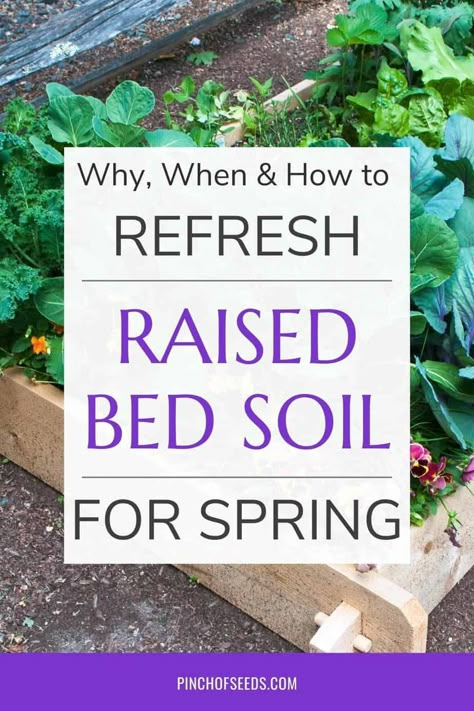 If you want to keep your raised garden beds producing basket full of veggies all season long, it's essential to refresh the raised bed soil periodically. Wondering how to amend raised bed soil? Here are the 5 steps to show you how to add new soil and organic matter to replenish nutrients and rejuvenate productivity. Learn what are the best amendments for YOUR raised bed soil. Improve your raised bed soil today for amazing result this season! How To Prepare A Garden Bed, How To Prepare Garden Beds For Planting, Raised Garden Beds Tips, Garden Bed Preparation, Best Time To Plant Vegetables Raised Beds, Best Soil Mix For Raised Beds, How To Amend Soil In Raised Beds, Best Veggies For Raised Garden Beds, Garden Bed Soil Mixture