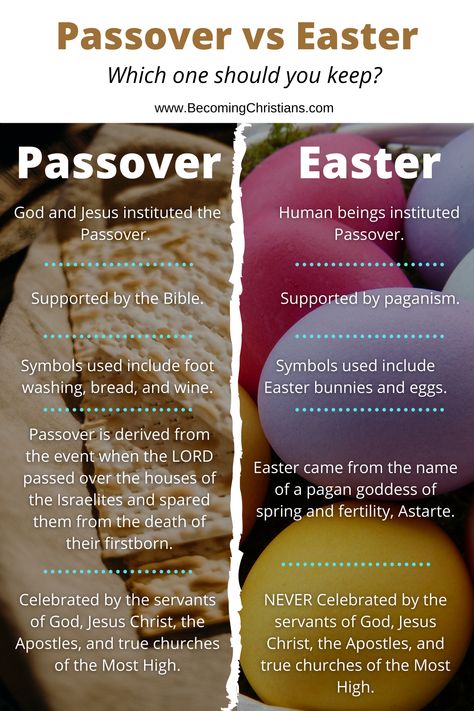 Passover versus Easter: A Brief and Comprehensive Comparison Jewish Beliefs, Jewish Feasts, Feasts Of The Lord, Torah Study, Resurrection Day, Bible History, Bible Study Notebook, About Easter, Easter Art