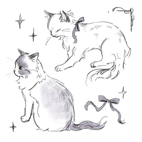 雨🎐 on X: "cat doodles.. https://t.co/aGYPnUizO1" / X Easy Sketches For Beginners, Sketches For Beginners, Cats Drawings, Easy Sketches, Cat Doodles, Cat Drawing Tutorial, Cats Art Drawing, Kitten Drawing, Cute Cat Drawing