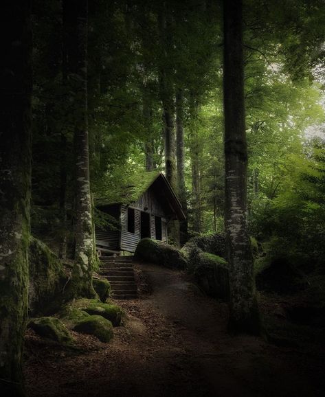 Fantasy Cottage, Epic Photography, Fairytale House, Wooded Landscaping, Old Abandoned Houses, Forest Cabin, Forest Photos, Cabin In The Woods, Forest House