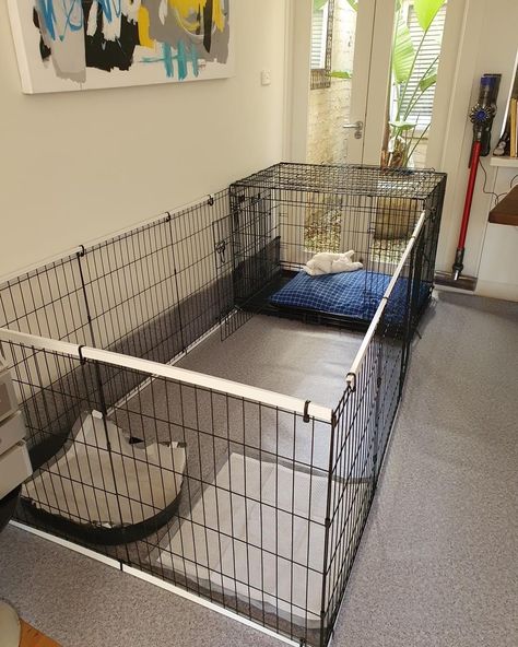 Dog Cage Inside House, Dog Fostering Room, Indoor Dog Pen Ideas Diy, Backyard Clean Up Ideas, Dog Playpen Ideas, Diy Pet Playpen, Puppy Play Pen Setup, Puppy Crate Setup Playpen, Puppy Enclosure Indoor