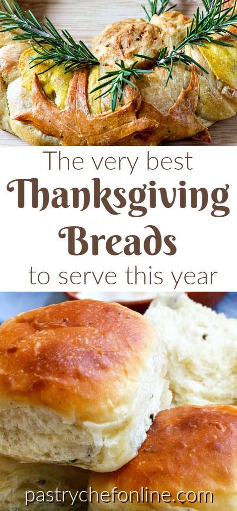 I've rounded up the best Thanksgiving breads for you to make to serve along with your Thanksgiving dinner. The best bread recipes and roll recipes, plus a couple of biscuit recipes for folks who don't think dinner is complete without a biscuit! Many of these breads & rolls can be served any time of year, but others are seasoned with Thanksgiving spices or are savory pumpkin breads, making them very seasonal. #Thanksgivingbreads #Thanksgivingrolls #breadrecipes #rolls #biscuits #pastrychefonline Thanksgiving Bread Ideas, Thanksgiving Breads, Thanksgiving Biscuits, Pictures Of Thanksgiving, Bread For Thanksgiving, Wall Garden Ideas, Thanksgiving Bread Recipes, Pumpkin Breads, Thanksgiving Dinner Rolls