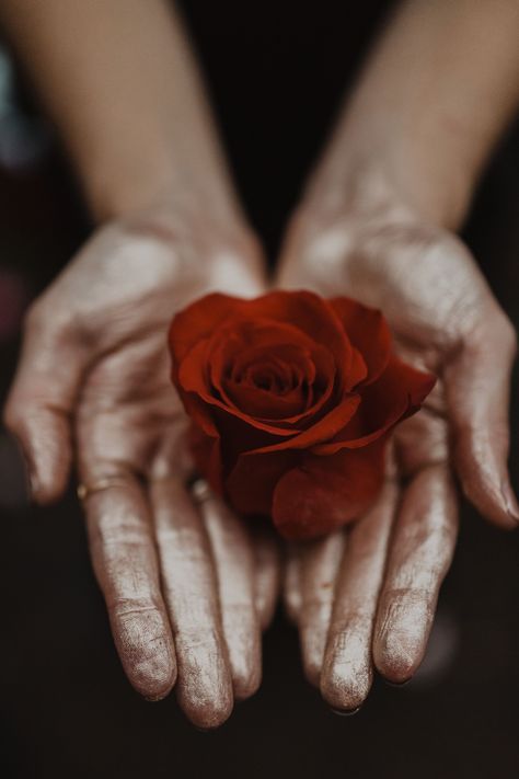 Curriculm — Priestesses Of The Rose The Rose, Red