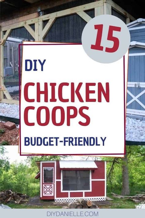 Small Diy Chicken Coop Ideas, Expanding Chicken Coop, Budget Friendly Chicken Coop, Build A Chicken Coop Simple, Cheap Chicken Coop Diy, Chicken Coop On A Budget, Diy Chicken Coop Ideas Easy Cheap, Getting Chickens, Chicken Math