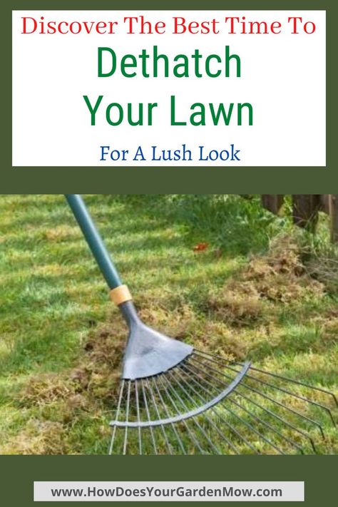 Small Front Yard Garden, Landscapes Front Yard, Diy Lawn Care, Yard Upgrades, Lawn Mowing Business, Mowing Business, Dethatching Lawn, Common Lawn Weeds, Yard Hacks