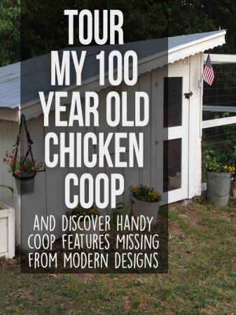 100 Year Old Chicken Coop Tour Portable Chicken Run, Large Chicken Run, Old Chicken Coop, Cheap Chicken Coops, Urban Chicken Farming, Small Chicken Coops, Chicken Coop Decor, Portable Chicken Coop, Chicken Nesting Boxes